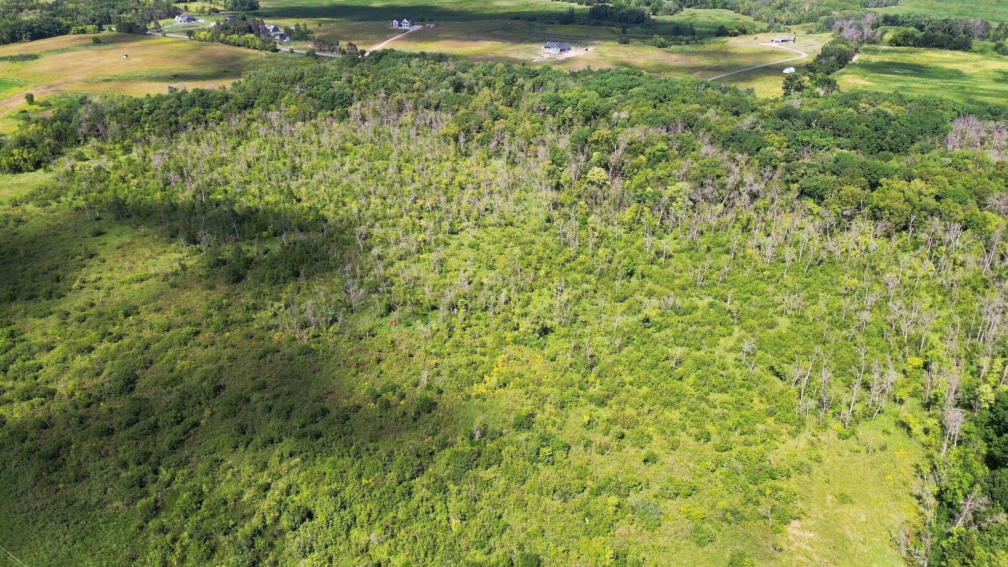 Land in Ramsey 5