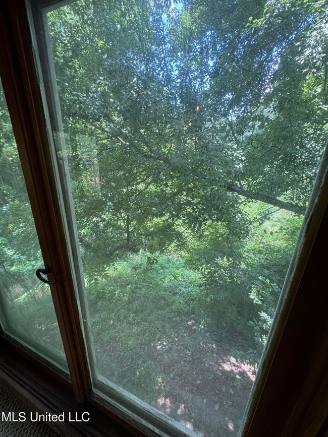 Nature & wooded area | Image 21