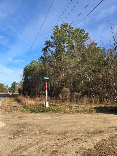 0 Whitestone Dr, Reevesville, SC, 29471 | Card Image