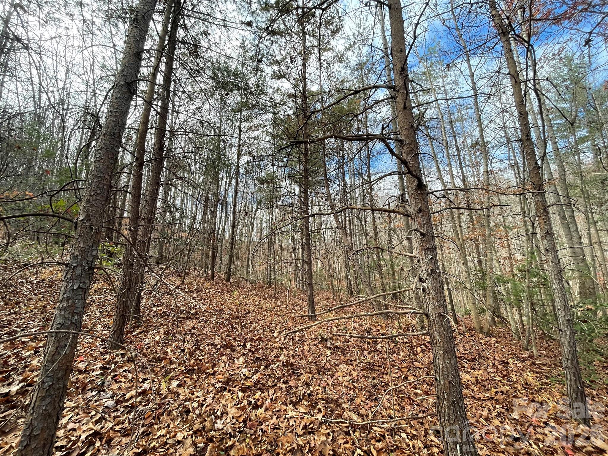 Land in Lenoir 5