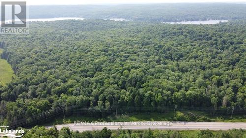 3944 County Road 21 Highway, Minden Hills (Minden), ON, K0M2K0 | Card Image