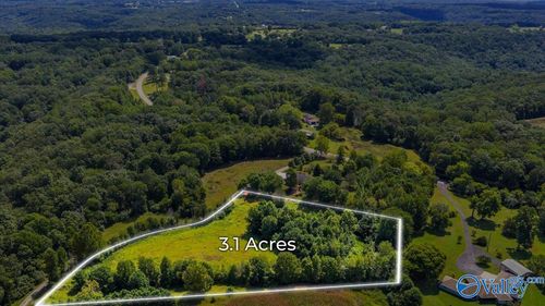 3.1 Acres 1st Ave E, Grant, AL, 35747-7641 | Card Image