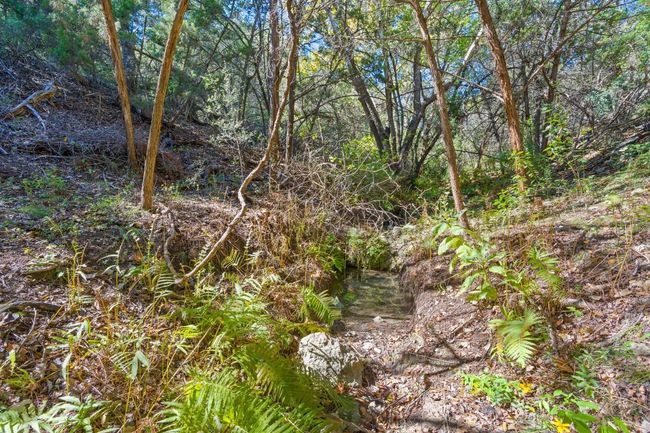 Creekbed at the rear of the lots | Image 17