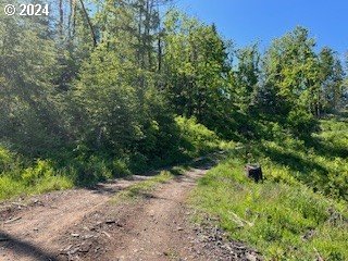 Snowden Rd, White Salmon, WA 98672