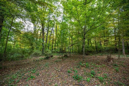 Lot 0 Dublin Rd, Richmond, MA, 01254-5146 | Card Image
