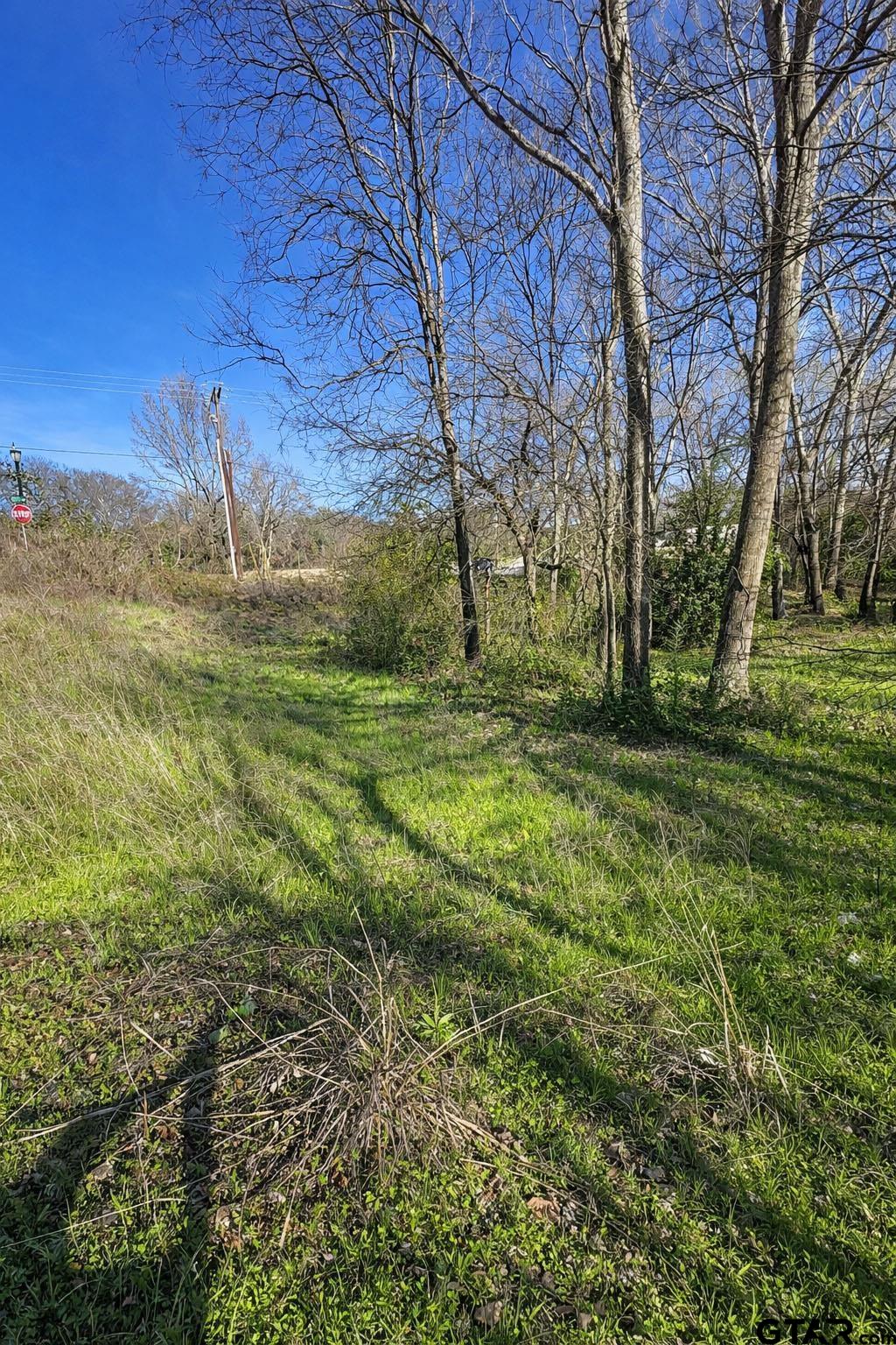 Land in Tyler 2