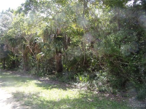 0 Azalee Ave, INGLIS, FL, 34449 | Card Image