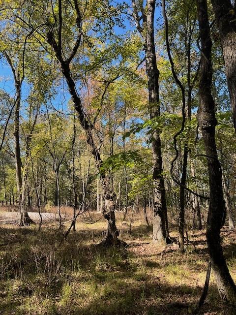 Land in Broken Bow 3