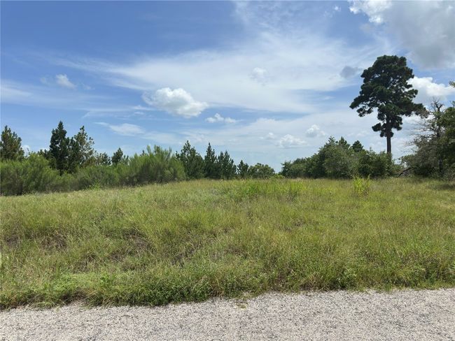 View of lot | Image 5