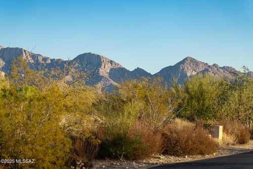14191 N Giant Saguaro Pl, Oro Valley, AZ, 85755-8583 | Card Image