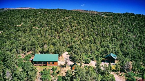20613 High Park Rd, Cedaredge, CO, 81413-8398 | Card Image