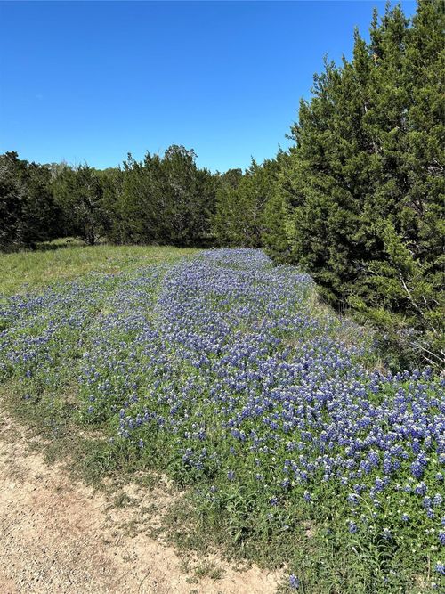 17 Heathrow Ln, Wimberley, TX, 78676-2801 | Card Image