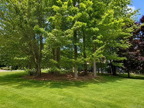 0 Timber Hill Lane, Fallsburg, NY, 12779 | Card Image