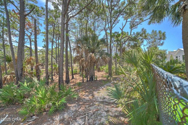 76 Gulf Loop, House other with 3 bedrooms, 2 bathrooms and null parking in Panama City Beach FL | Image 34
