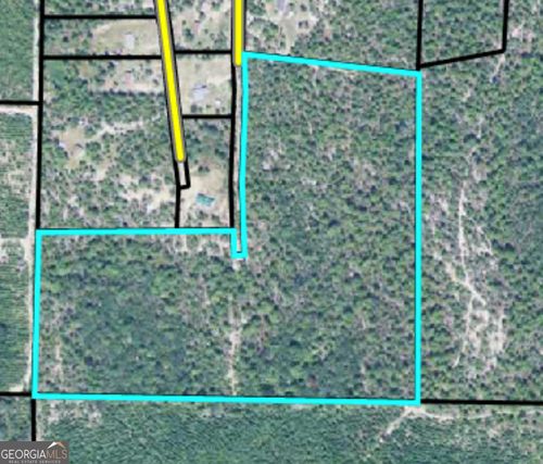 10f-32 10F Pineknot Farms Rd, Box Springs, GA, 31801-3941 | Card Image