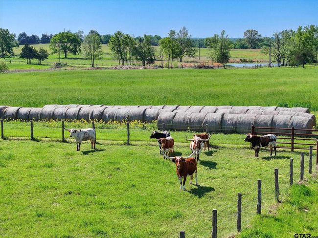 4152 Van Zandt County Road 4301, Home with 3 bedrooms, 3 bathrooms and null parking in Ben Wheeler TX | Image 10