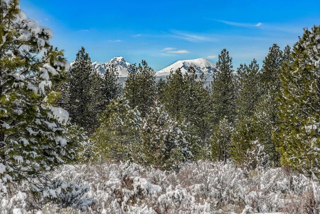 OReilly_20240306_16_287927_a_72ppi | Image 24