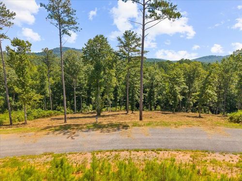 Lot 339 Timber Trl, Talking Rock, GA, 30175 | Card Image