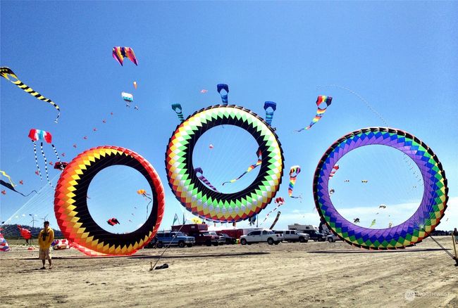 and of course there are a few kites around | Image 16