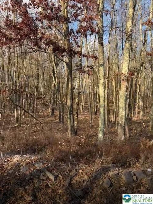 mv2330-55 Arapahoe Rd, ALBRIGHTSVILLE, PA, 18210-3620 | Card Image