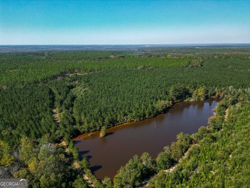 652 ACRES Ga Hwy 45 S, americus, GA, 31719 | Card Image