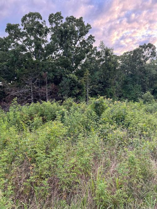 000 Ballard Rd, Vilonia, AR, 72173 | Card Image