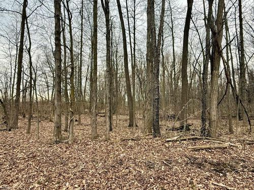 V/L Tyrrell Road, Shiawassee Township, MI, 48857 | Card Image