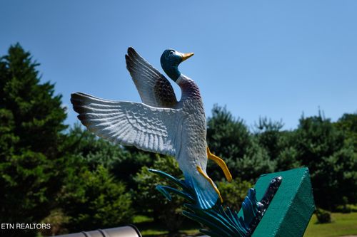 399 Texas Ln, Kingston, TN, 37763-5623 | Card Image