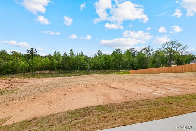 96 Madix Dr, House other with 3 bedrooms, 2 bathrooms and null parking in Eclectic AL | Image 37