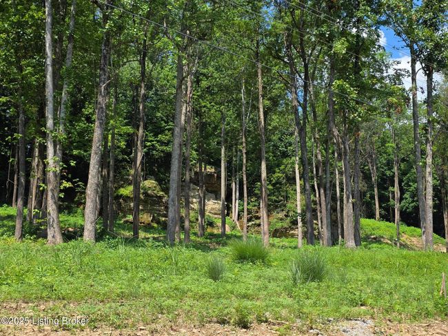 2 Cave Creek Rd, Home with 0 bedrooms, 0 bathrooms and null parking in Falls Of Rough KY | Image 4