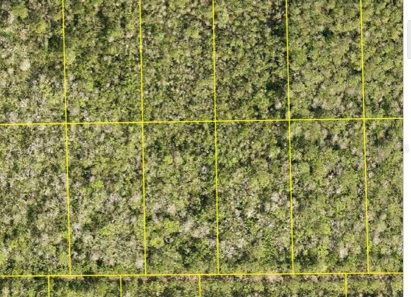 Land in DELAND