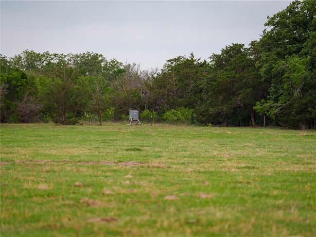 View of green lawn with a wooded view | Image 26
