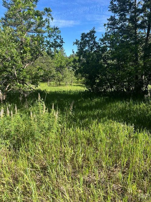 TBD Pine Dr, Beulah, CO, 81023 | Card Image