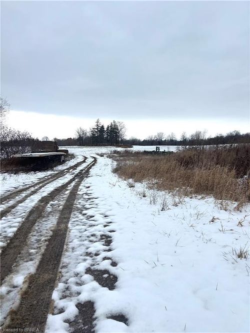 {{alt}} | Card Image