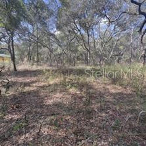 7377 Knoxville Dr, Webster, FL, 33597-9576 | Card Image