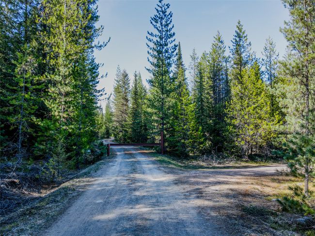 View of dirt / gravel road featuring a wooded view | Image 45