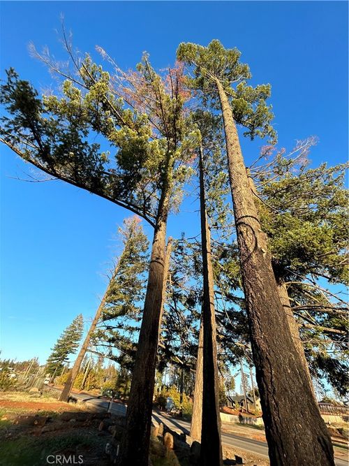 8561 Skyway, Paradise, CA, 95969 | Card Image