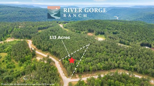 1108 Birdseye Way, Guild, TN, 37340 | Card Image