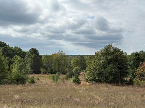 7267 S Snyder Rd Sw, Fife Lake, MI, 49633 | Card Image