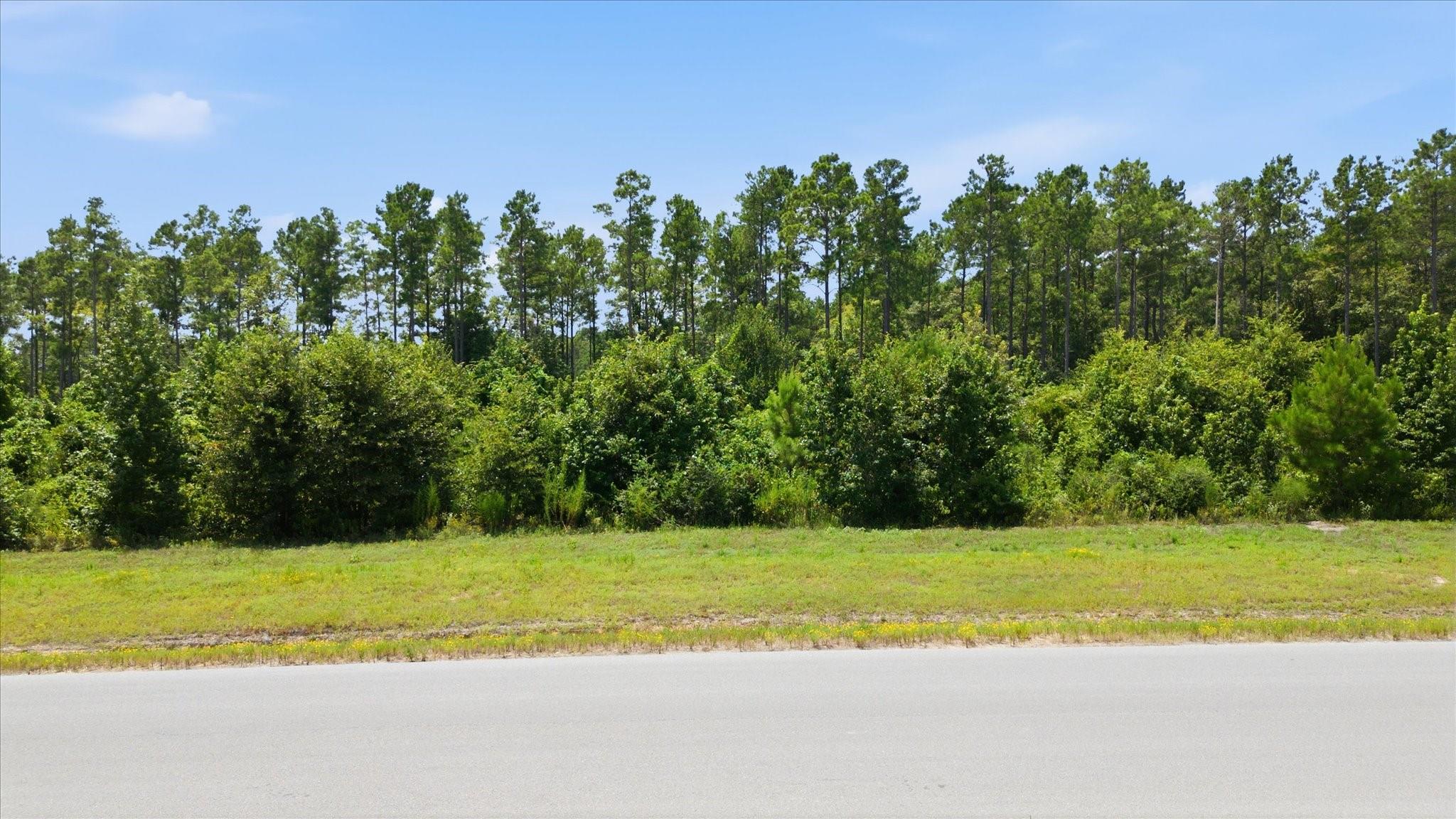 Land in Willis 3