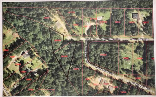 TBD-000 County Road 401, Dayton, TX, 77535 | Card Image
