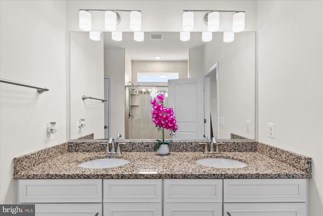 36239 Windsor Park Dr, House other with 4 bedrooms, 3 bathrooms and null parking in FRANKFORD DE | Image 19