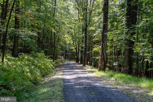 Lot 3 Price Ridge Rd, Home with 0 bedrooms, 0 bathrooms and null parking in STANLEY VA | Image 38