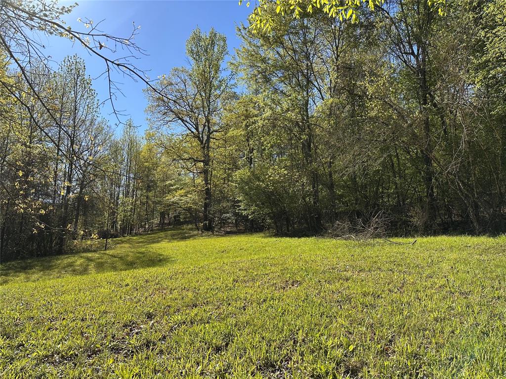 Land in Smithville 2