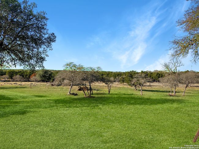 565 Red Bluff Ranch Rd, House other with 3 bedrooms, 3 bathrooms and null parking in Pipe Creek TX | Image 32