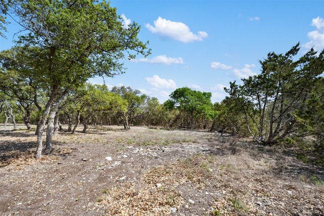 Live oaks on the property. | Image 19