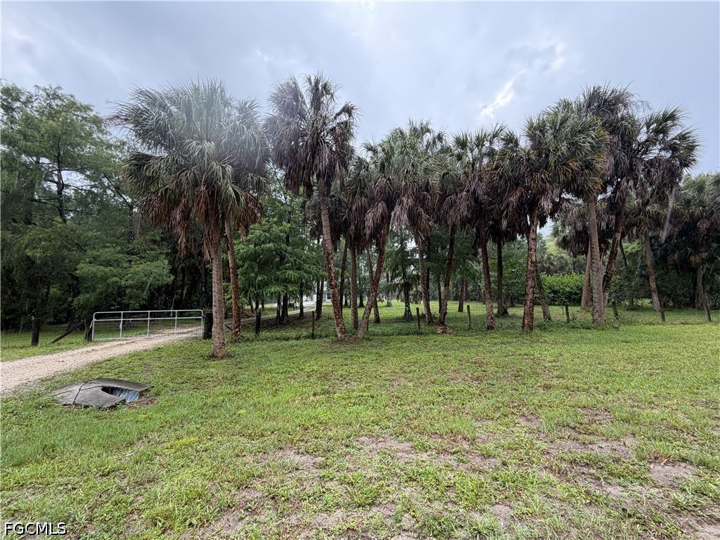 Residential in Naples 3