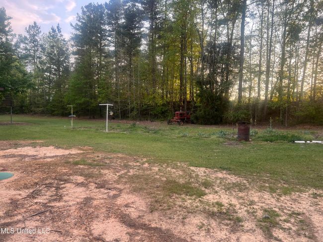BACKYARD | Image 5