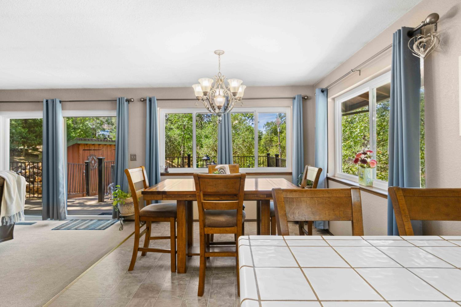Residential in Placerville 4