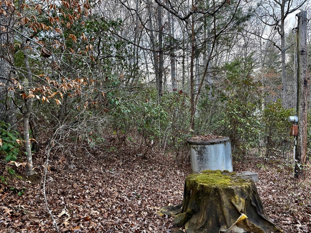 Land in Franklin 2
